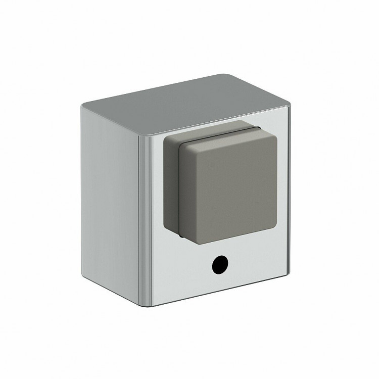 DS-1 C Хром DS-1 C Хром